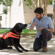 Haptic vests dogs