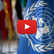 UN Flag