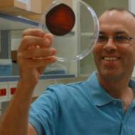 Dr. Roy Kishony of the Technion-Israel Institute of Technology