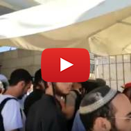 Jews ascend Temple Mount Tisha b'Av