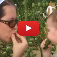 farm agriculture