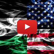 Palestinian American Flag