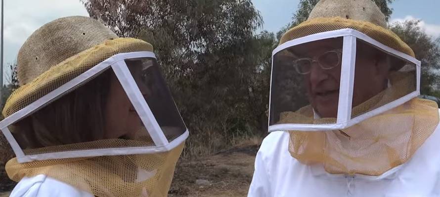 Israeli honey bees