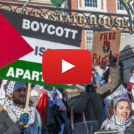 Anti-Israel activists
