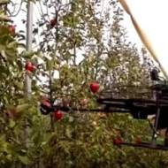 Agriculture technology