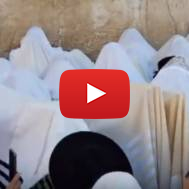 Birkat Kohanim Sukkot 2019