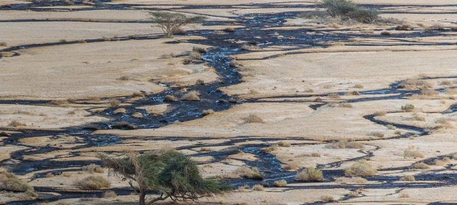 Oil spill in December 2014 in Israel’s Evrona Nature Reserveaa (Alexander Turovsky, Shutterstock)