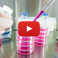 Cancer Research