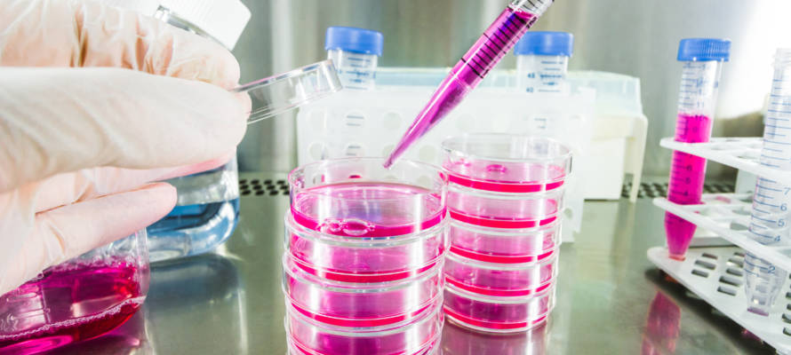 Cancer Research