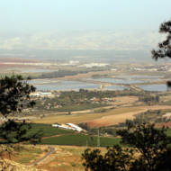 Kibbutz Afikim in the Jordan Valley
