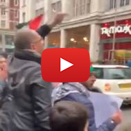 Anti-Israel Protesters