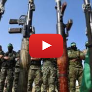 Terrorists