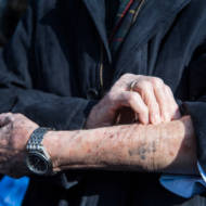 Number on arm of Holocaust survivor (Shutterstock)
