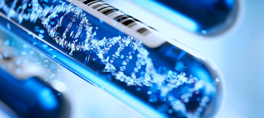 DNA