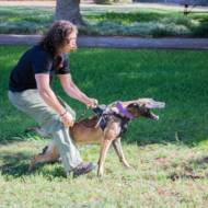 Israel Dog Unit Gush Etzion Commander Micha Katz (Courtesy)