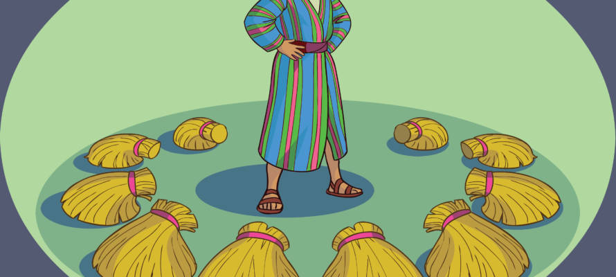 joseph colored coat