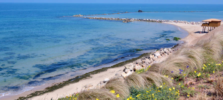 Israel's coastline (Shutterstock)