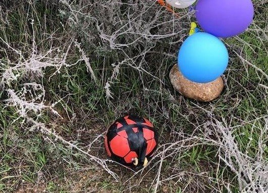 Explosive soccer ball attached to balloons