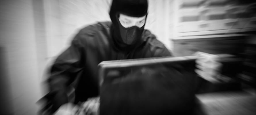 Cyber terrorist.