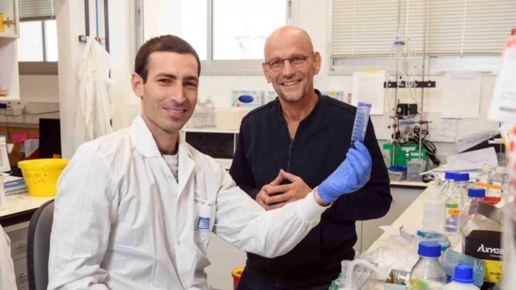 Weizmann Institute heart