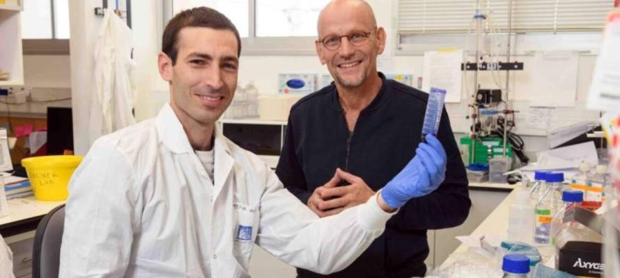Weizmann Institute heart