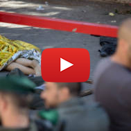 terrorist eliminated near Lions Gate