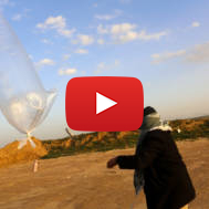 Palestinian arsonist in Gaza
