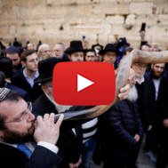 Chief Rabbi of Tzfat Shmuel Eliyahu