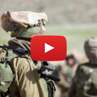 Israel Defense Forces