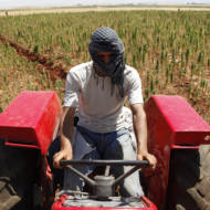 Mideast Lebanon Drugs