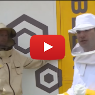 Israeli robotic beehive.