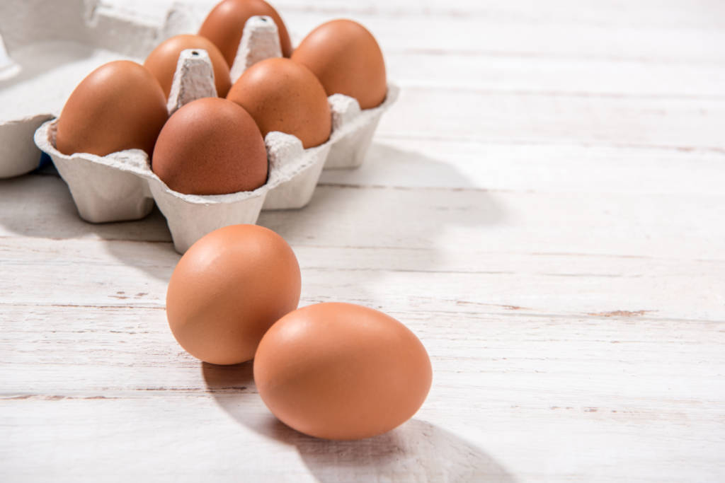 egg
