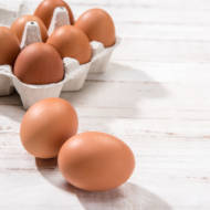 egg