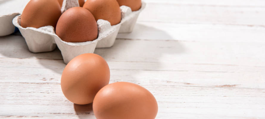 egg