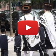 haredim