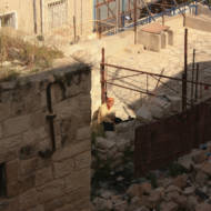 destroyed home gaza
