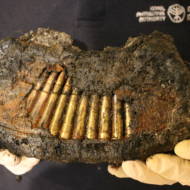 Full magazine of Bern machine gun.