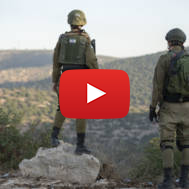 IDF