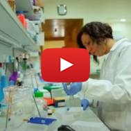 Medical research