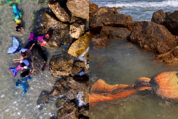 Israel Mermaids
