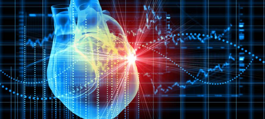 heart