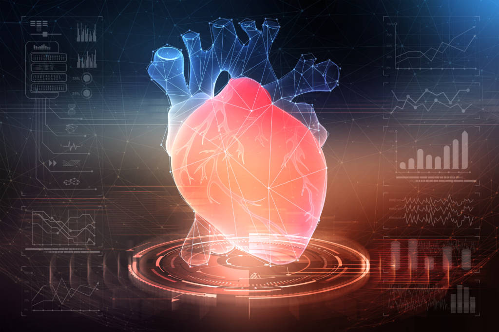 3d printed heart