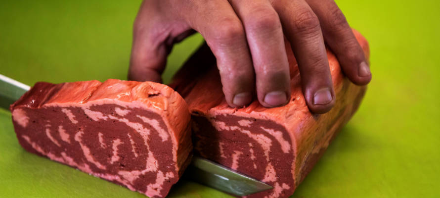 3D printed veggie steak