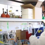 Hebrew University medical research.v1