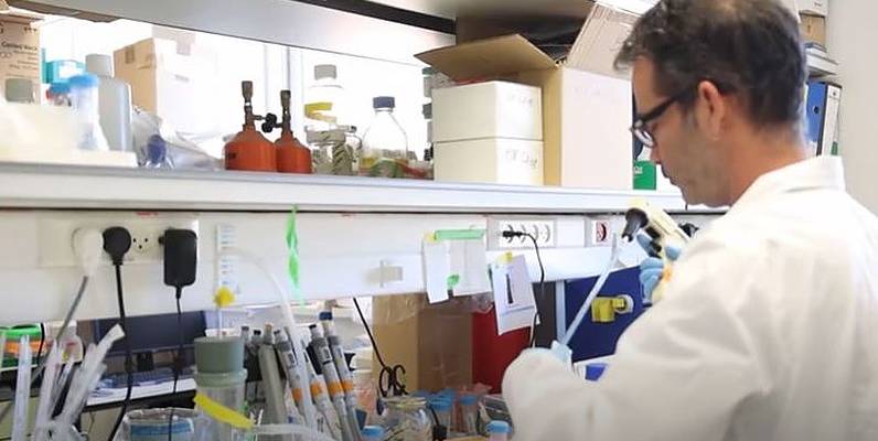 Hebrew University medical research.v1