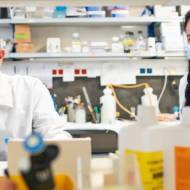 Professor Ami Aronheim and Dr. Shimrit Avraham