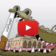 Anti-Israel