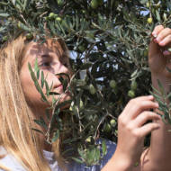 Israeli farm