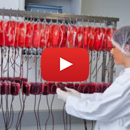 Blood bank