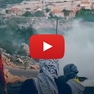 Fatah Video